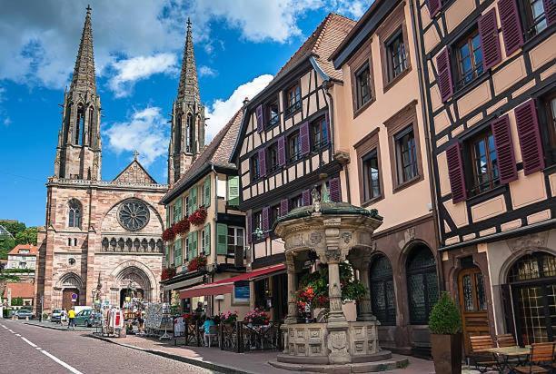 Le Pavillon Des Remparts - Commerces A Proximite - Centre-Ville - Appartement Cosy Obernai Ngoại thất bức ảnh