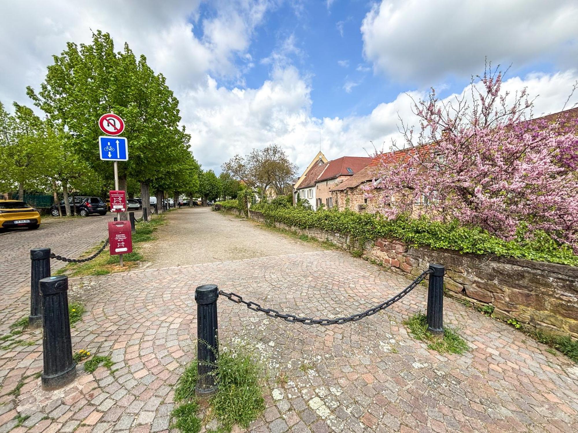 Le Pavillon Des Remparts - Commerces A Proximite - Centre-Ville - Appartement Cosy Obernai Ngoại thất bức ảnh